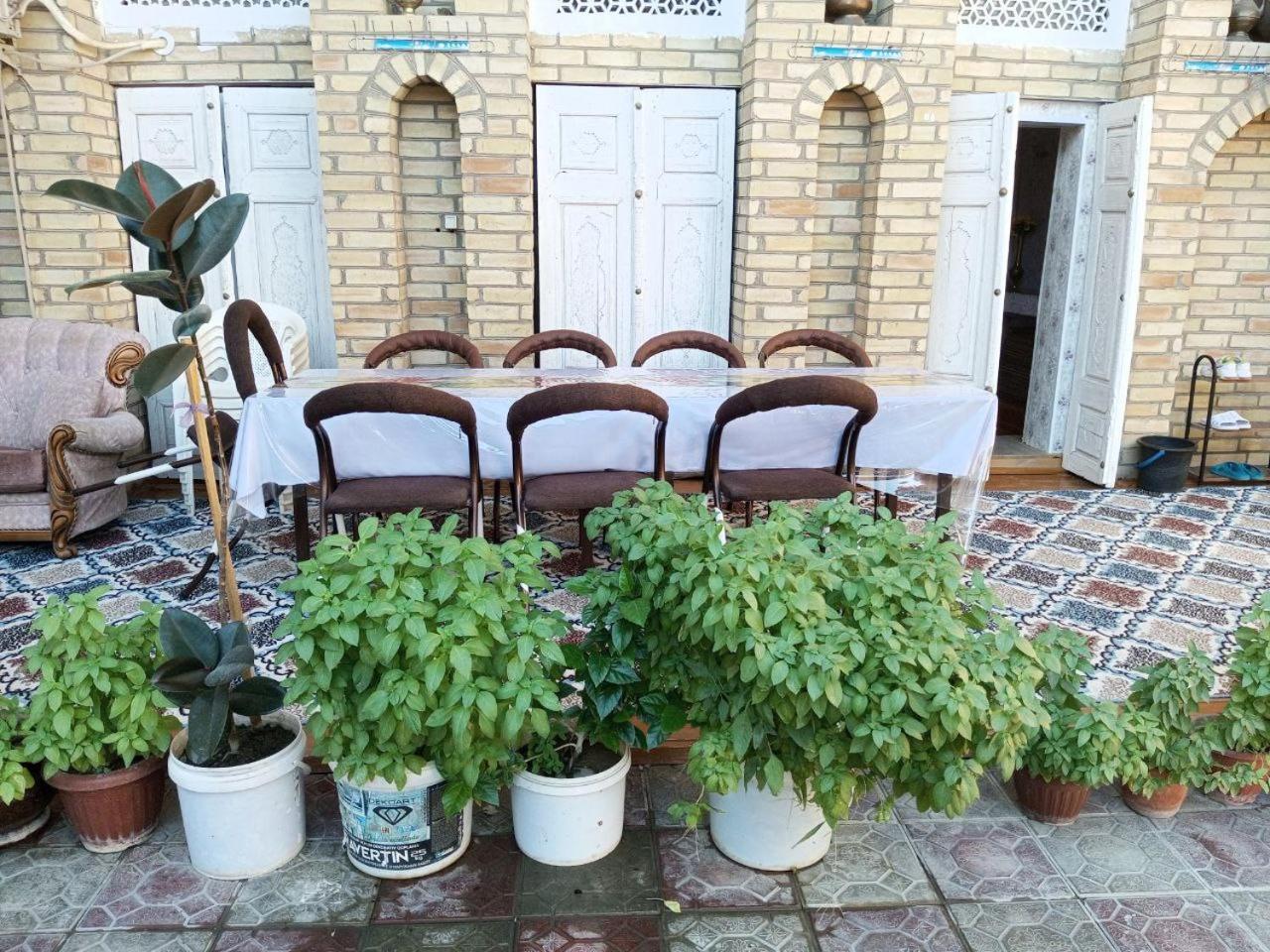 Sohibqiron Boutique Hotel Bukhara Exterior photo